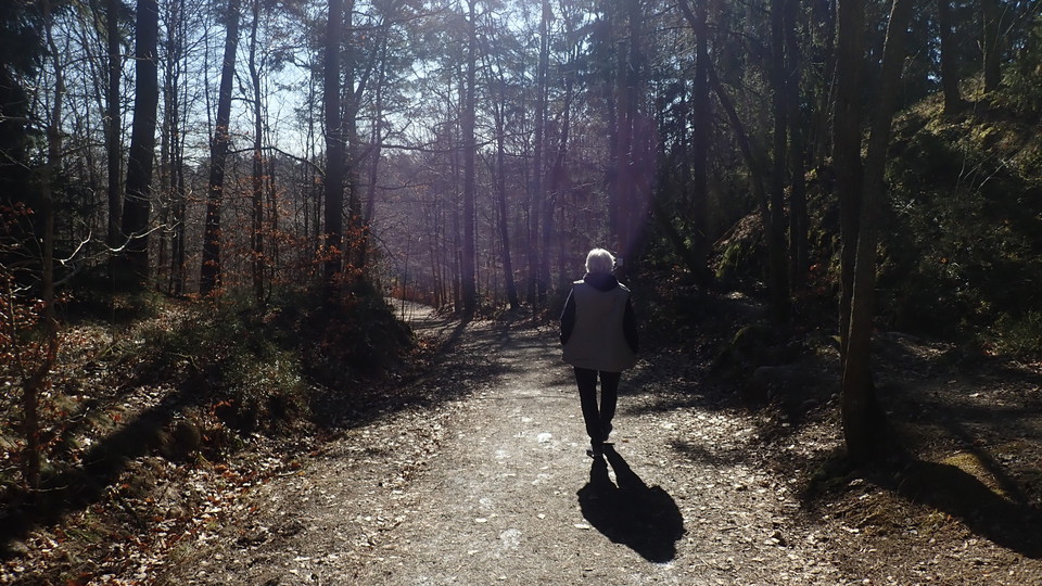 Lidingöloppsspåret i Södre Sticklinge. Foto Lidingö stad