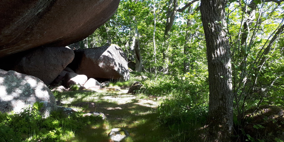 stort flyttblock längs stig