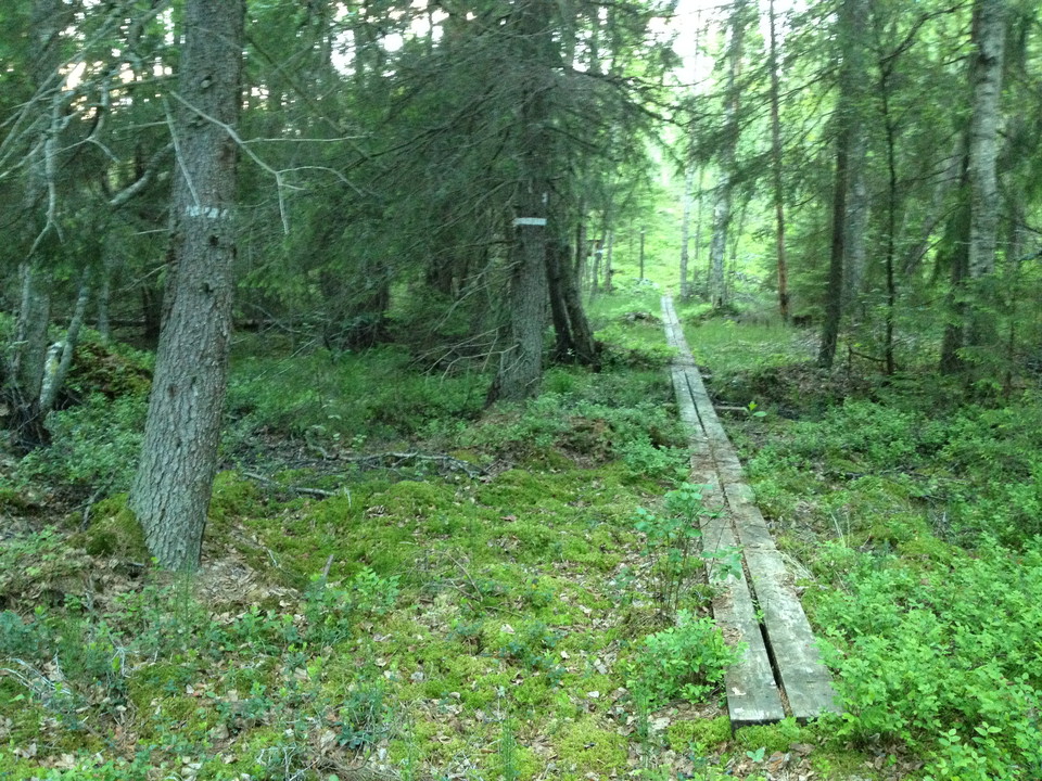 På spång genom reservatet. 