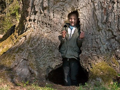 Ett barn står i en stor spricka som går genom en grov trädstam.
