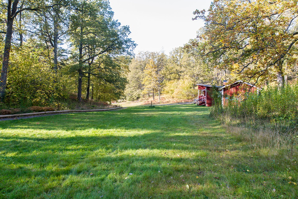 Gräsytorna ned mot grillplatsen och vindskyddet.