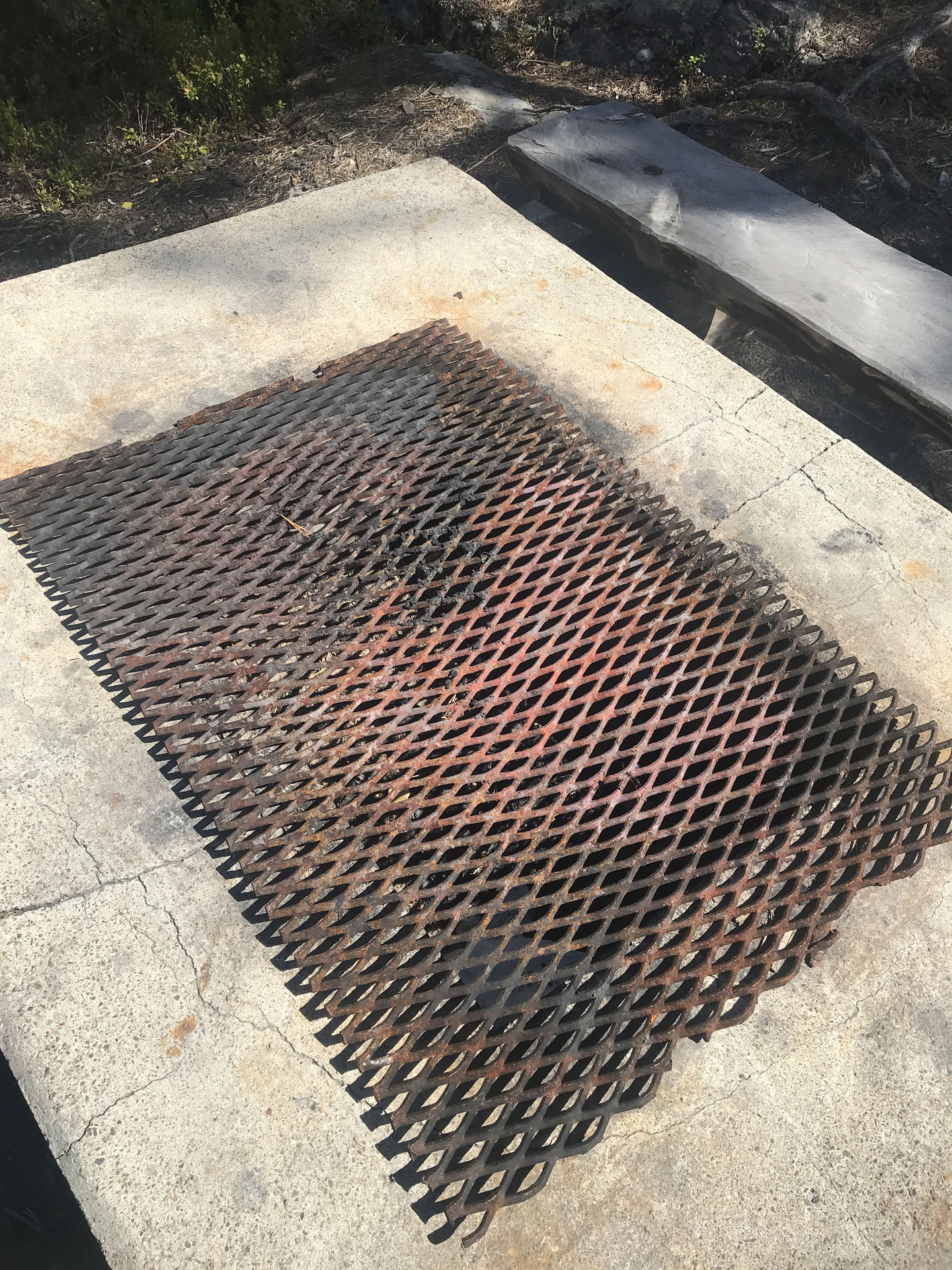 Grill