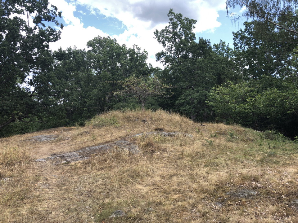 Gravfält i Storängsudds naturreservat.