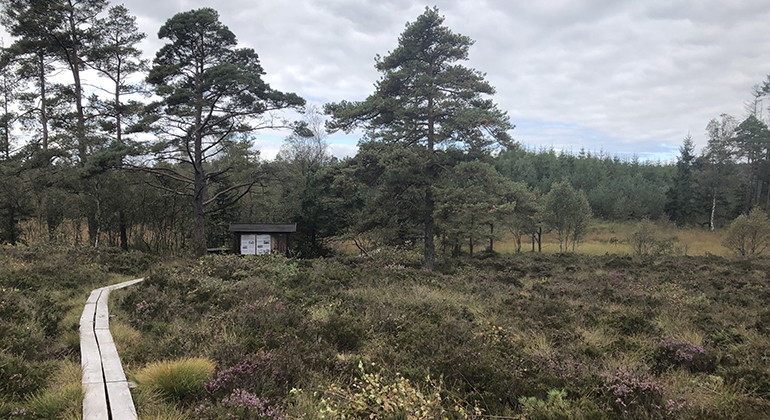Djurholmamossen.