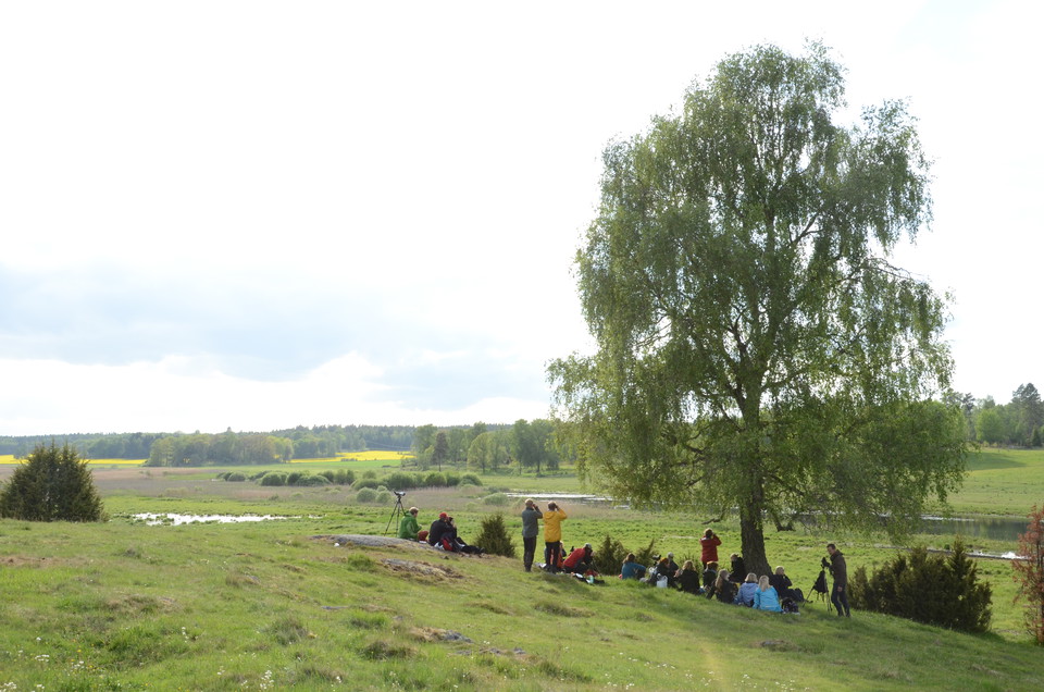 Hackstakullen i nordost, en halvtimme promenad från parkering Örsta. 