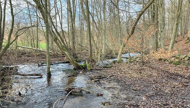 Stora Äsperöd, Naturreservat