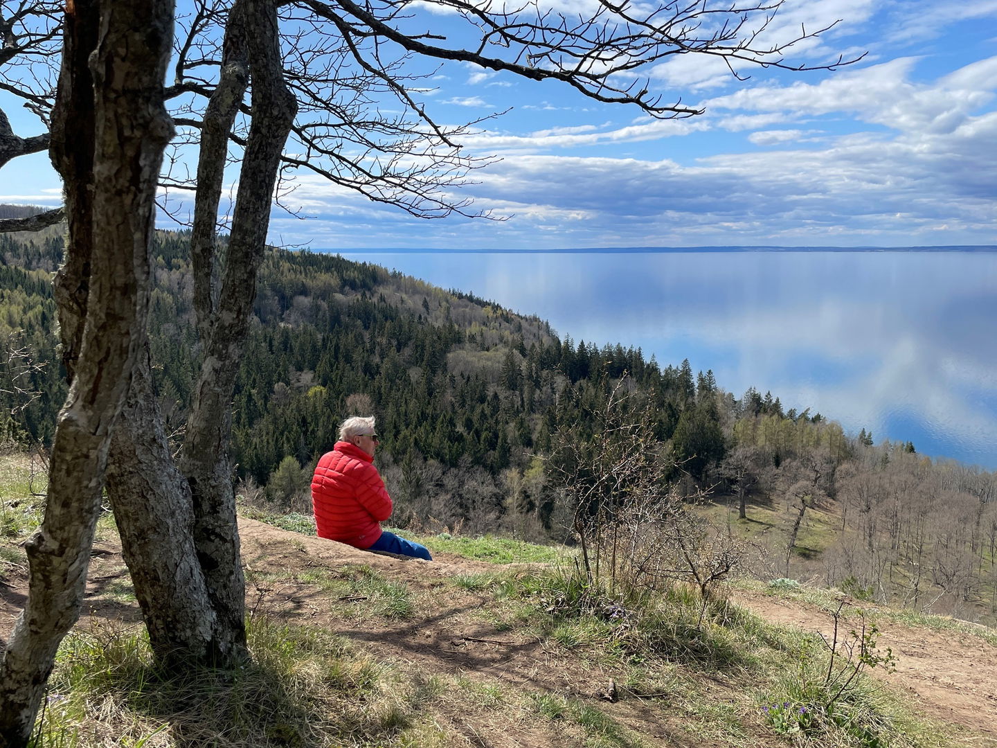 Utsikt över Ombergs södra delar, jätteekarna vid bergets fot och Vättern vars vattenyta ligger 125 meter under utsiktsplatsen.