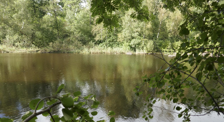 Vattnet i Lagan ligger stilla och bildar en vattenspegel. 