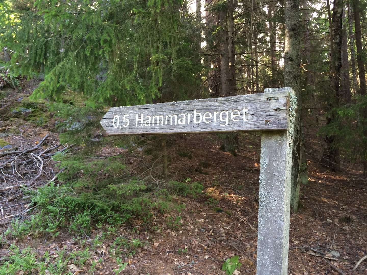 Skyltvisning till Hammarberget.