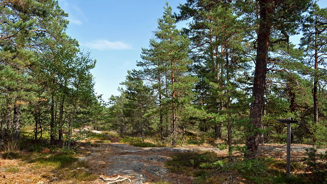 Utsiktsplats Galgbacken, Tullgarn