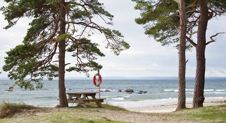 Bänkbord vid stranden.