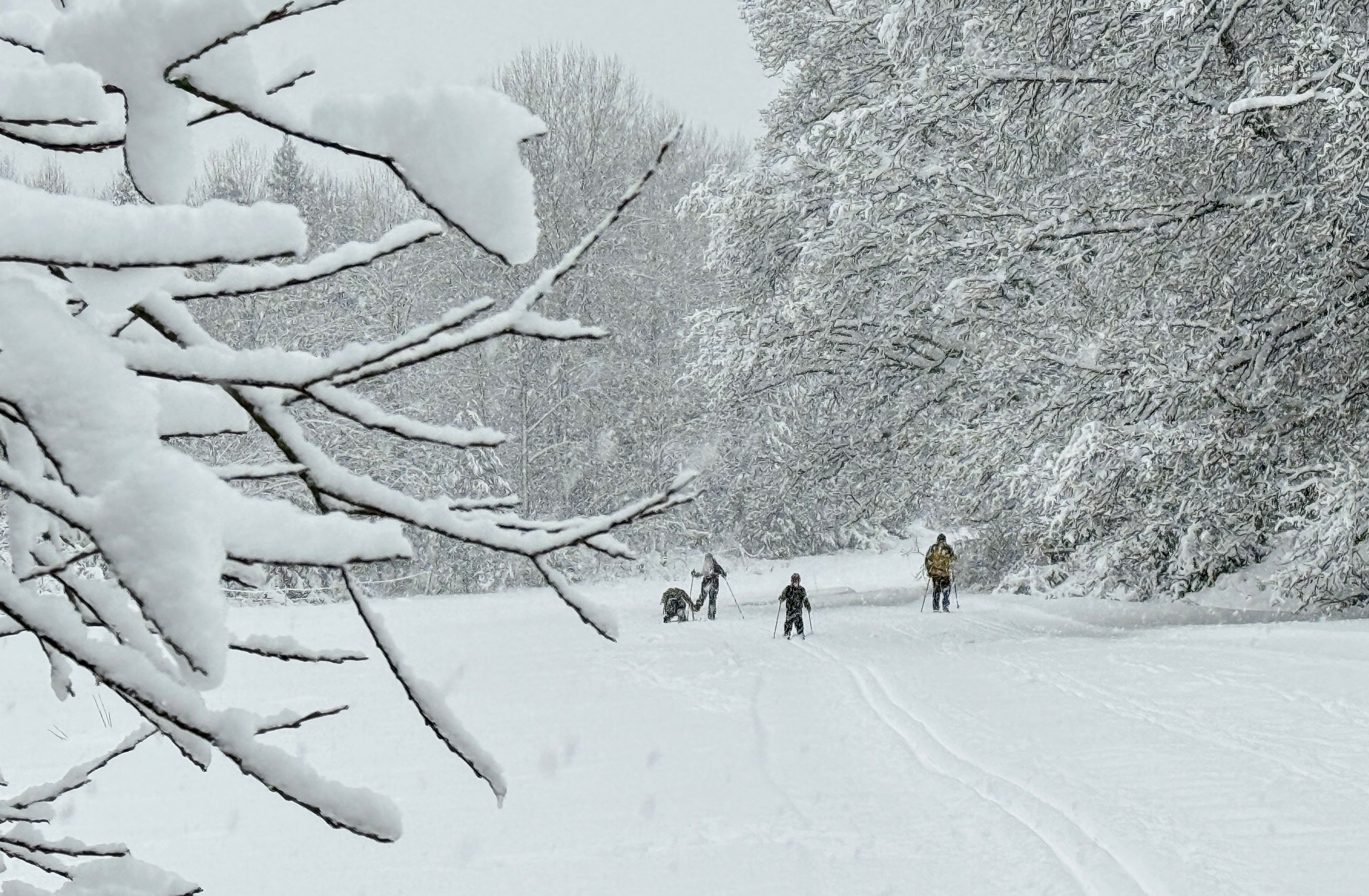 Se till att vara redo för kommande vinterlov. Besöken på Naturkartan har redan slagit all time high …