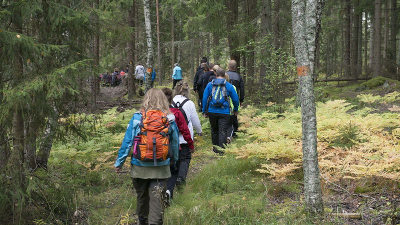 Hallstahammar - Anslutningsled Bruksleden