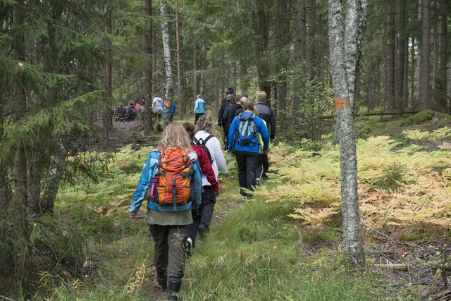 Hallstahammar - Anslutningsled Bruksleden