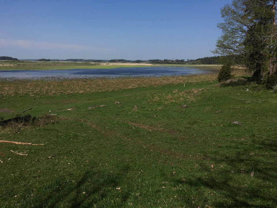 En strandäng leder fram till en sjö. I bakgrunden skymtar skogen fram.