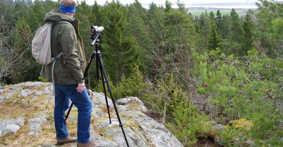 Utsikt från Juteberget. 
Etapp: Borensberg rundslinga. 
Motala