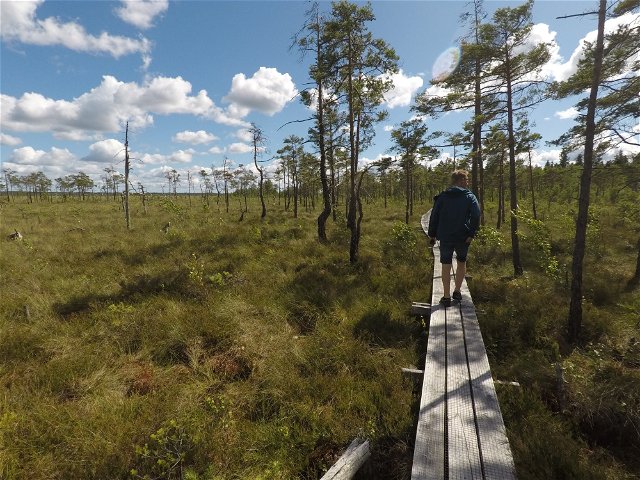 Walking trail, Vakö moor