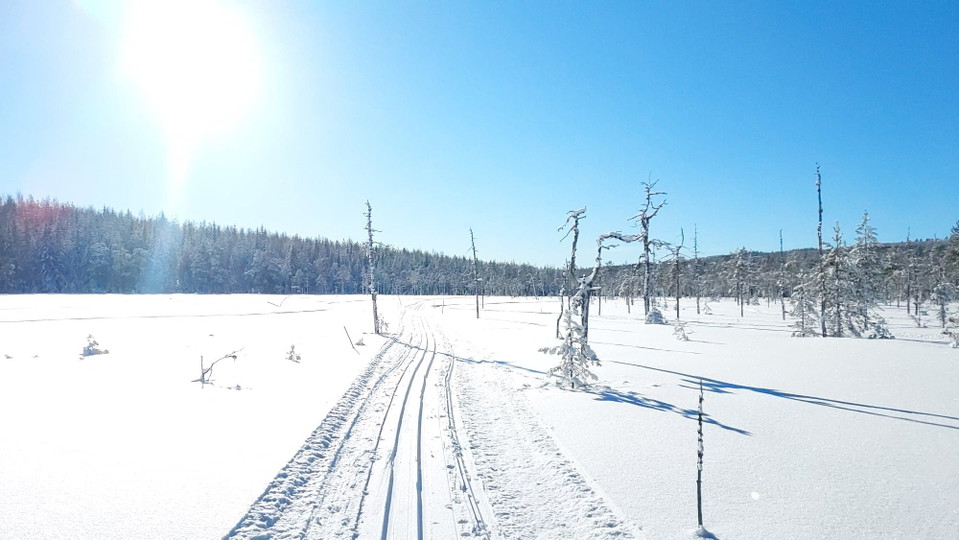 Kycklingmyrarna