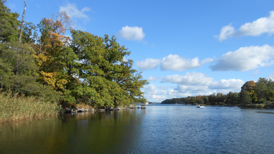 Vy över Hustegafjärden från brygga vid Hustegaholm. Foto Lidingö stad