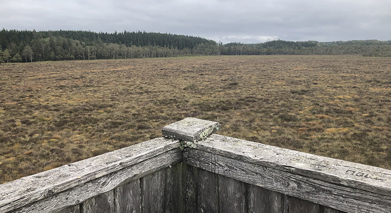 Djurholmamossen.