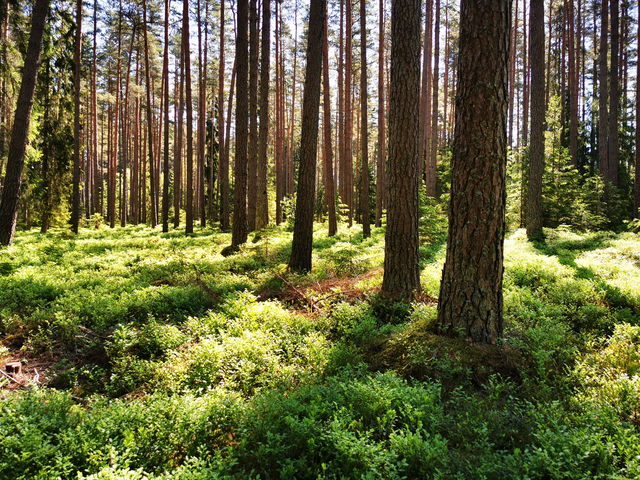 Biosfärleden Etapp 8 Lugnås Kyrka-Karleby