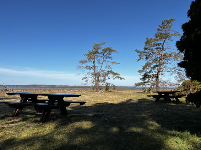 Bord, Trollskogen