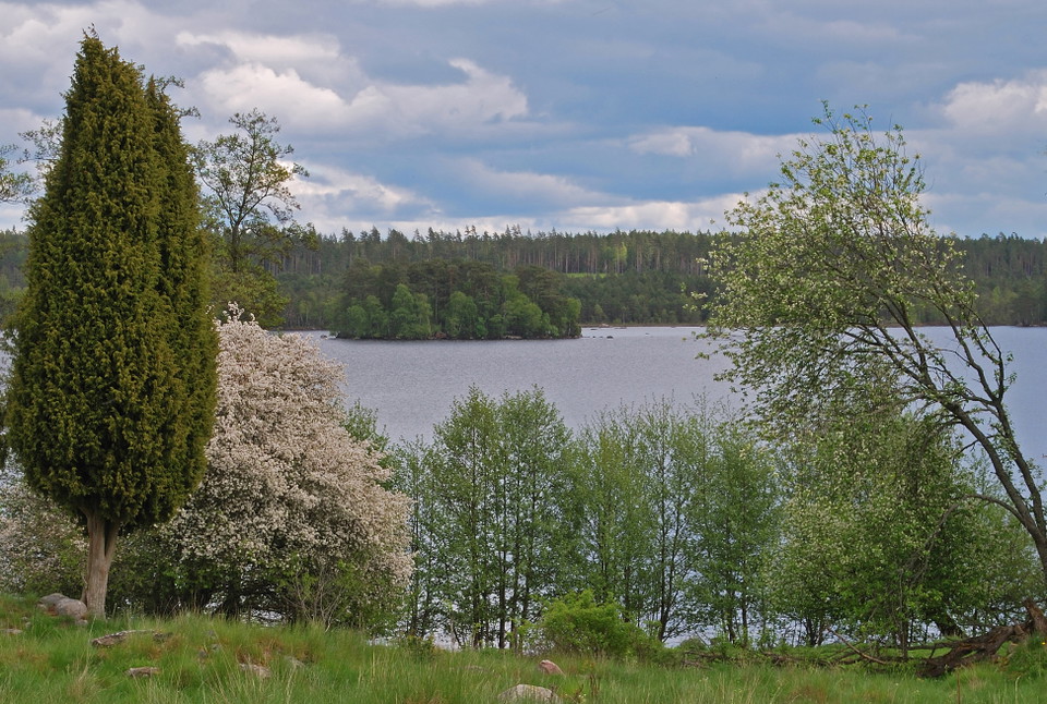 Fotograf: Tobias Ivarsson