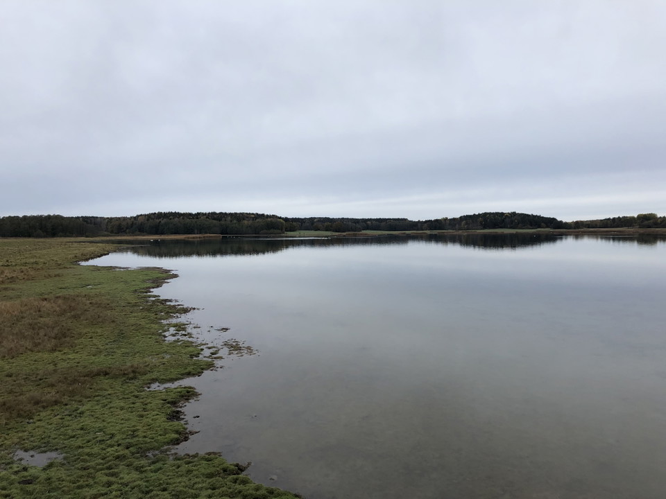 Från plattformen ser man ut över strandängarna och viken.