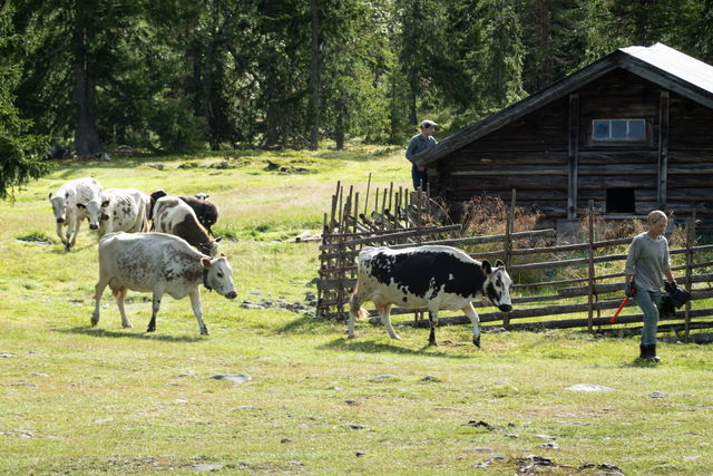 Cabin Lillhärjåbygget