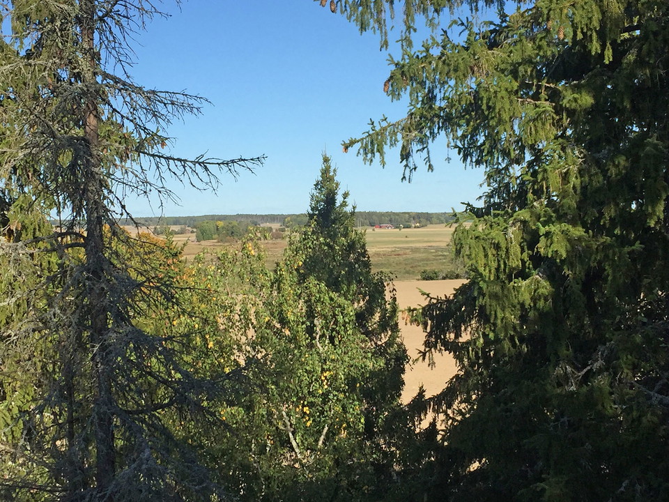 Vy ut över åkerlandskap.