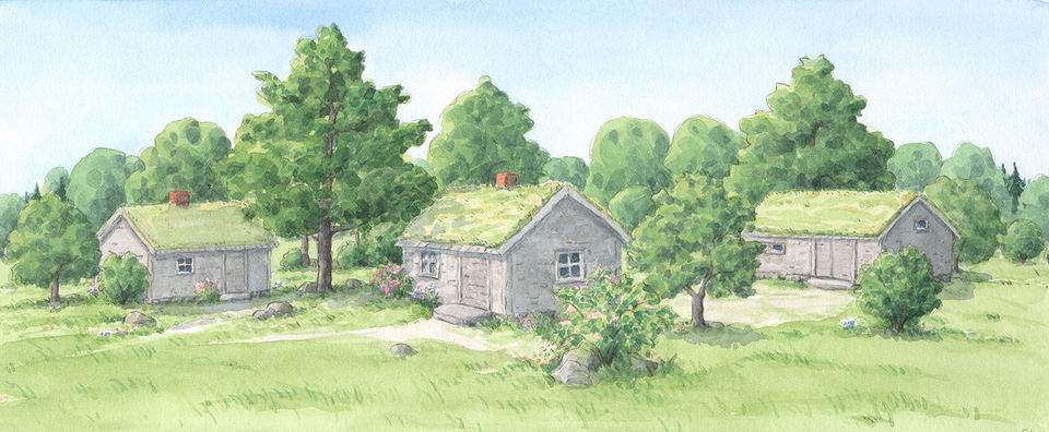 Illustration av Carina Lindkvist, Naturcentrum