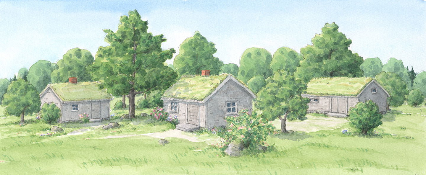 Illustration av Carina Lindkvist, Naturcentrum