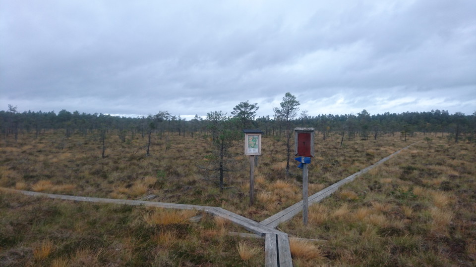 Vägskälet mot väg 40