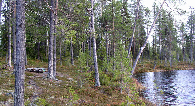 Tabmokåive-Luossejaure.