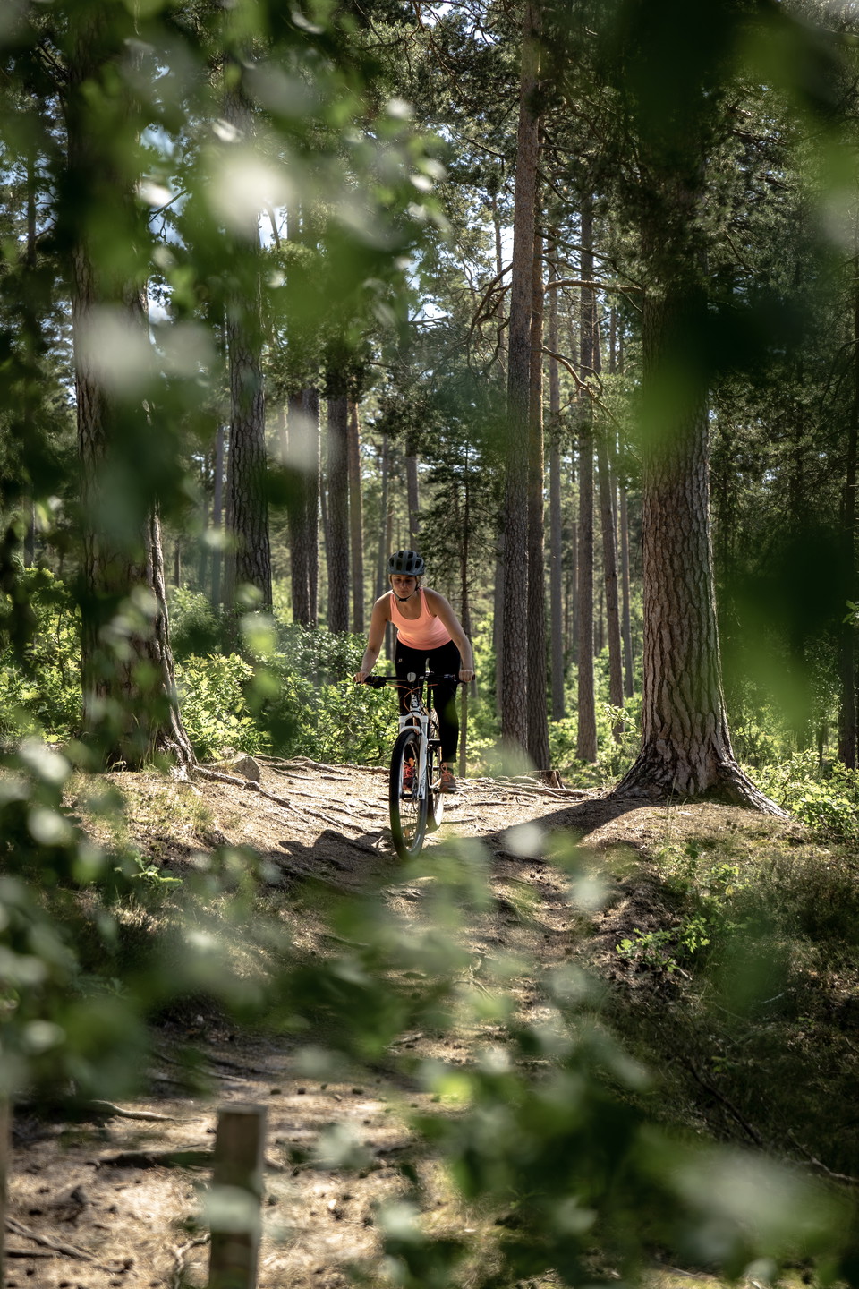 Rällaskogen - MTB