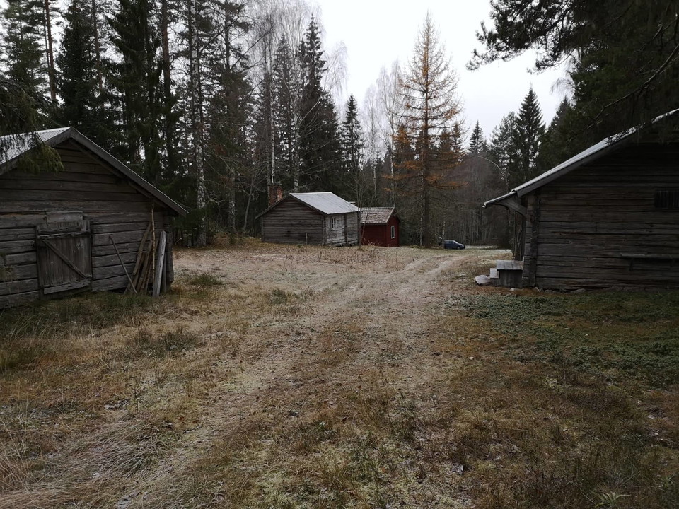 Renåsvallen november 2021