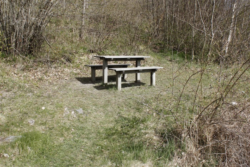 Ett bord med två bänkar står på en liten öppen gräsyta i en skogsdunge.