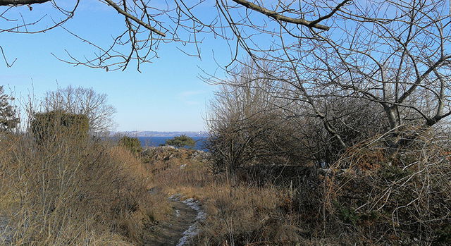 Skäret, Naturreservat