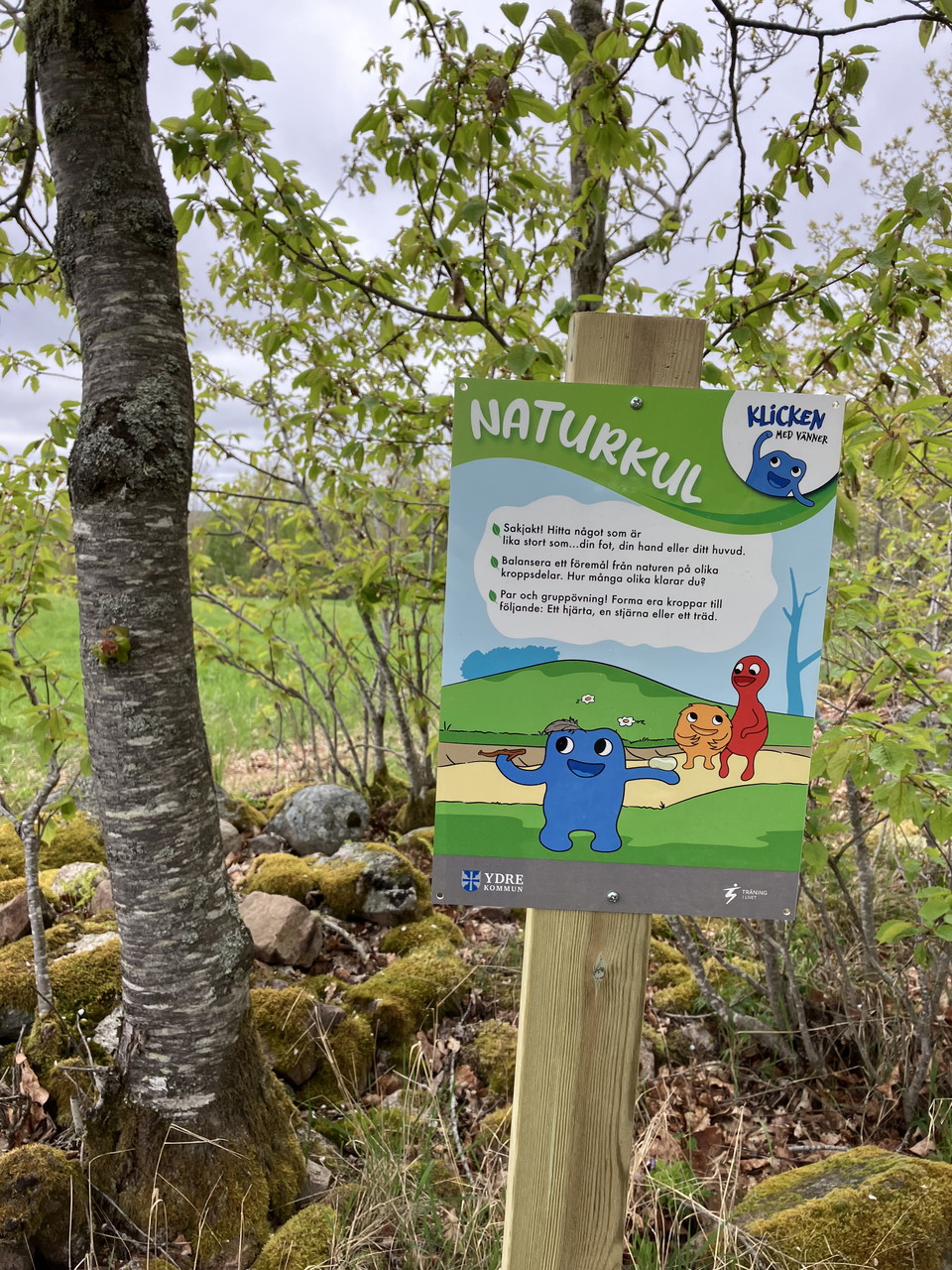 Naturkul vid Kungabordet