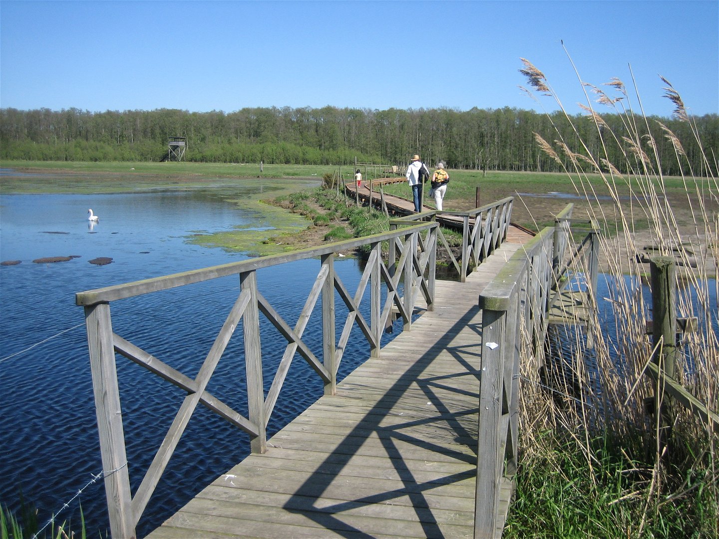 Besökare vandrar längs träspång med bro i förgrunden.