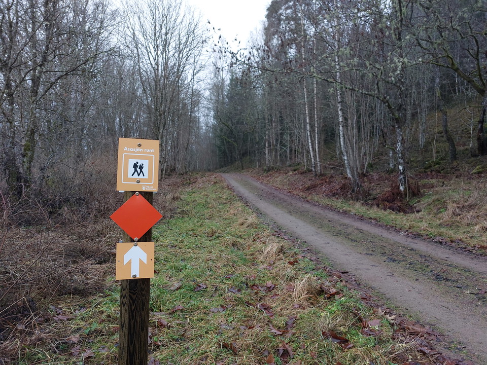 Asasjön Runt passerar förbi
