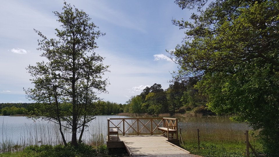 Utsiktsbrygga vid Gråvikens norra strand. Foto Lidingö stad