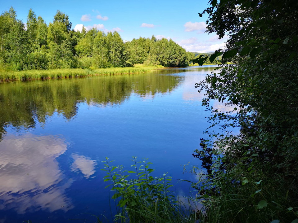 Svågan