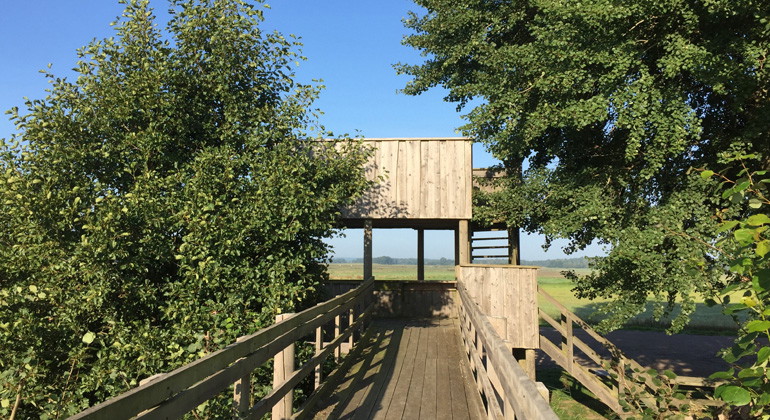 Fågeltorn i norr, nära Vombsjön.