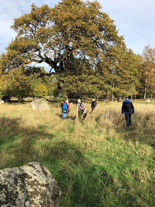 Hammarhagen, Tinnerö Eklandskap