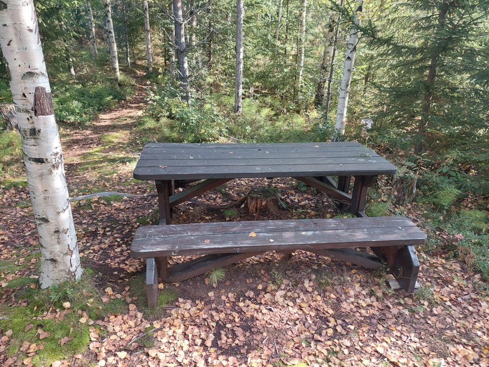 Bänkbord