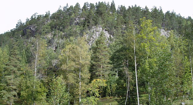 Skåle, Naturreservat