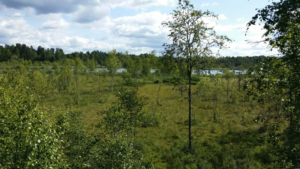 Fågelskyddsområde