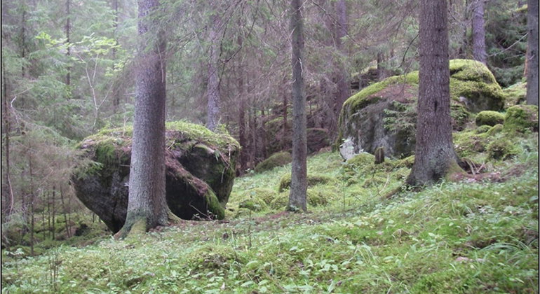 Fotograf: Mikael Hagström 