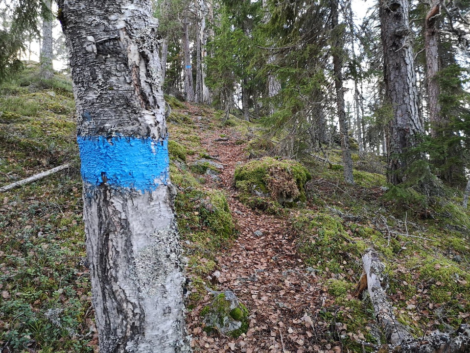 Närmare toppen blir stigen brant!